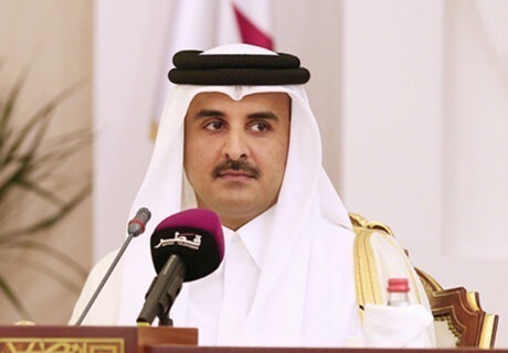 43 advisory council